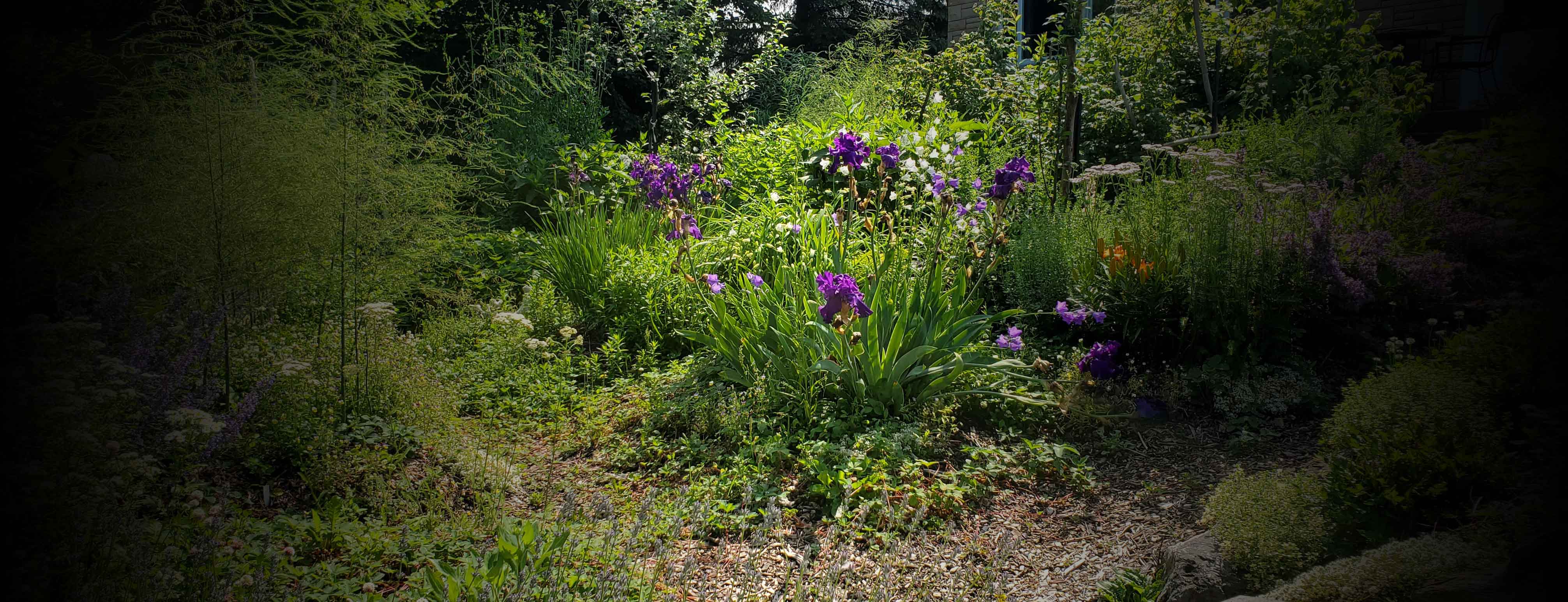 forêt nourricière